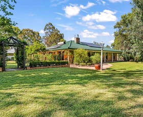 Rural / Farming commercial property for sale at 1138 Paterson Road Woodville NSW 2321
