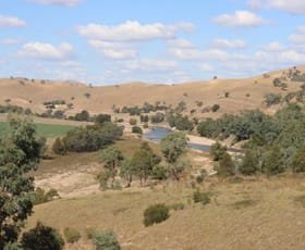 Rural / Farming commercial property for sale at 326 Cavan Road Yass NSW 2582