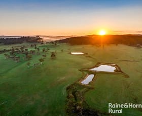 Rural / Farming commercial property for sale at 3262 Braidwood Road Lake Bathurst NSW 2580