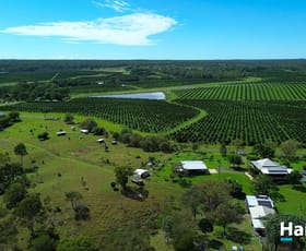 Rural / Farming commercial property for sale at 62 Causeway Road Booyal QLD 4671
