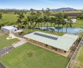 Rural / Farming commercial property for sale at 255 Tenthill Creek Road Lower Tenthill QLD 4343