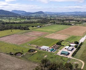 Rural / Farming commercial property for sale at 50 George Campbell Drive Mudgee NSW 2850