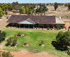 Rural / Farming commercial property for sale at 972 Wardry Bus Road Condobolin NSW 2877