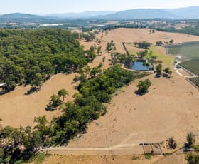 Rural / Farming commercial property for sale at 100 Angus Road Yellingbo VIC 3139