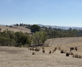 Rural / Farming commercial property for sale at 85 Halls Flat Road Alexandra VIC 3714