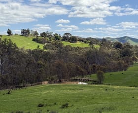 Rural / Farming commercial property for sale at 85 Halls Flat Road Alexandra VIC 3714