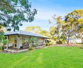 Rural / Farming commercial property for sale at 6982 Dartmoor-Hamilton Road Hamilton VIC 3300