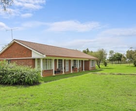 Rural / Farming commercial property for sale at "Bimbadeen" 1174 New Winton Rd Tamworth NSW 2340