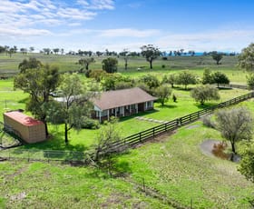 Rural / Farming commercial property for sale at "Bimbadeen" 1174 New Winton Rd Tamworth NSW 2340