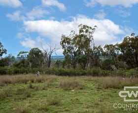 Rural / Farming commercial property for sale at 1, 61, 4108 Tent Hill Road Emmaville NSW 2371
