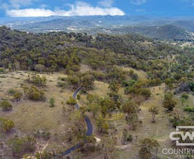 Rural / Farming commercial property for sale at 72, 4108 Tent Hill Road Emmaville NSW 2371