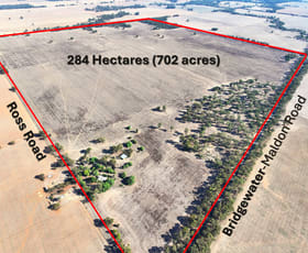 Rural / Farming commercial property for sale at Bridgewater-Maldon Road Laanecoorie VIC 3463