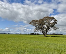 Rural / Farming commercial property for sale at Bridgewater-Maldon Road Laanecoorie VIC 3463