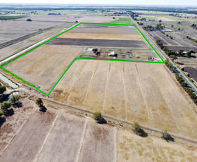 Rural / Farming commercial property for sale at 00 Speewa Punt Road Beverford VIC 3590