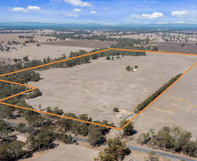 Rural / Farming commercial property for sale at 1288 Murchison-Violet Town Road Arcadia South VIC 3631