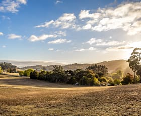 Rural / Farming commercial property for sale at 220 Piccadilly Road Piccadilly SA 5151