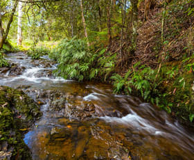 Rural / Farming commercial property sold at 45 Oakes Lane Elands NSW 2429