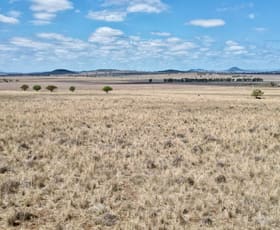 Rural / Farming commercial property for sale at 334 POWNALL ROAD Mullaley NSW 2379