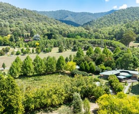 Rural / Farming commercial property for sale at 217a Simmonds Creek Road Tawonga South VIC 3698