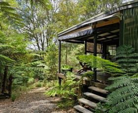 Rural / Farming commercial property for sale at 776 Lower Bielsdown Road Tallowwood Ridge NSW 2453