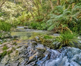 Rural / Farming commercial property for sale at 776 Lower Bielsdown Road Tallowwood Ridge NSW 2453
