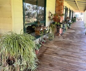 Rural / Farming commercial property for sale at 941 Murphys Lake Road Appin VIC 3579