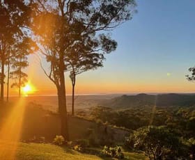 Rural / Farming commercial property for sale at Wilsons Creek NSW 2482