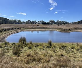 Rural / Farming commercial property for sale at 2101 Woodhouselee Road Laggan NSW 2583