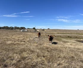 Rural / Farming commercial property for sale at 2101 Woodhouselee Road Laggan NSW 2583