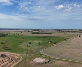 Rural / Farming commercial property for sale at "Tovolea"278 Myall Plains Road Armatree NSW 2828