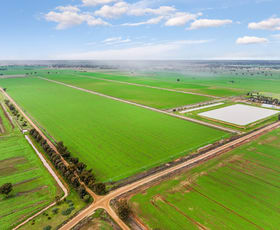 Rural / Farming commercial property for sale at 2318 Centre Road Moama NSW 2731