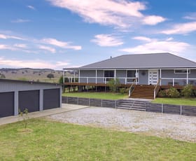 Rural / Farming commercial property for sale at 833 Triamble Road Mudgee NSW 2850