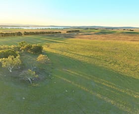 Rural / Farming commercial property for sale at 55 Rotherwood Road Lake Bathurst NSW 2580