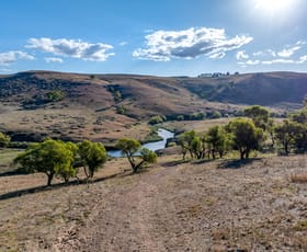 Rural / Farming commercial property for sale at Lot 115/121 Blue Hill Road Taralga NSW 2580