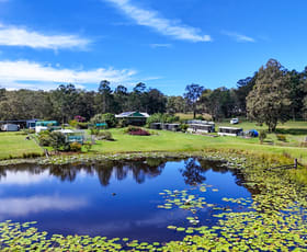 Rural / Farming commercial property for sale at 2058 Armidale Road Willawarrin NSW 2440