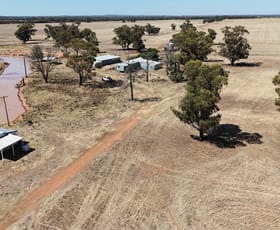 Rural / Farming commercial property for sale at 679 Bellarwi Road West Wyalong NSW 2671