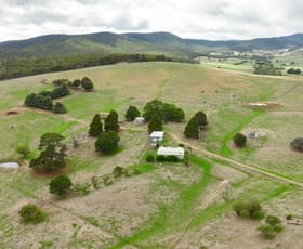 Rural / Farming commercial property for sale at 41 Hollonds Road Benambra VIC 3900