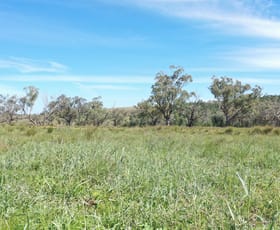 Rural / Farming commercial property for sale at 173 Keepit Dam Road Rushes Creek NSW 2346
