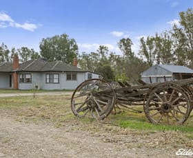 Rural / Farming commercial property sold at 595 Bocobra Road Manildra NSW 2865