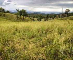 Rural / Farming commercial property for sale at Good Night QLD 4671