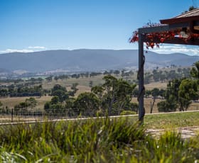 Rural / Farming commercial property for sale at 85 Brown Road Teal Point VIC 3579