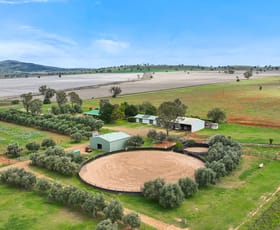 Rural / Farming commercial property for sale at 259 Racecourse Road Somerton NSW 2340
