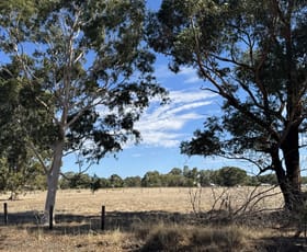 Rural / Farming commercial property for sale at Millendon WA 6056
