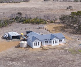 Rural / Farming commercial property for sale at 1233 Gum Creek Road Menzies SA 5223