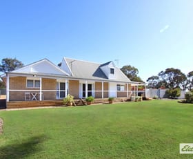 Rural / Farming commercial property for sale at 1836 Bendigo-Maryborough Road Shelbourne VIC 3515