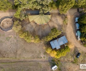 Rural / Farming commercial property for sale at 7 Edward Street West Moorong NSW 2650