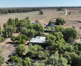 Rural / Farming commercial property for sale at "Morago" 2297 Pretty Pine Road Deniliquin NSW 2710