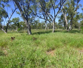 Rural / Farming commercial property for sale at 4631 Middle Creek Road Langlo QLD 4470