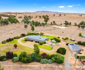 Rural / Farming commercial property for sale at 1775 Yerong Creek-Mangoplah Road, Mangoplah via Wagga Wagga NSW 2650