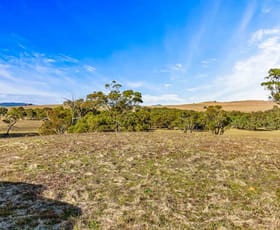 Rural / Farming commercial property sold at 823 Western Highway Armstrong VIC 3377